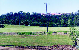 Park Views